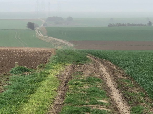 97831941-E521-4E71-A167-30E3D5E7E5EA