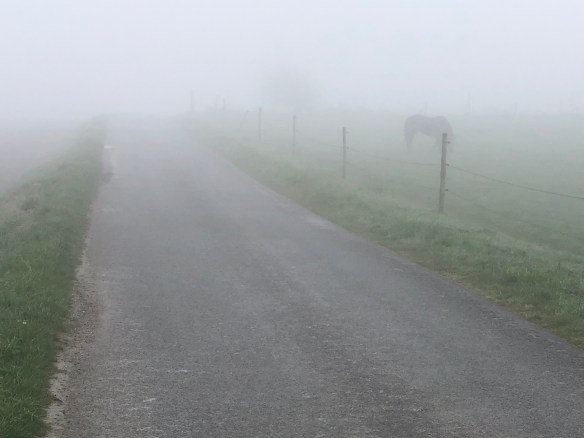 FE48871F-2F3C-4EE8-847A-803B1EA08FE3